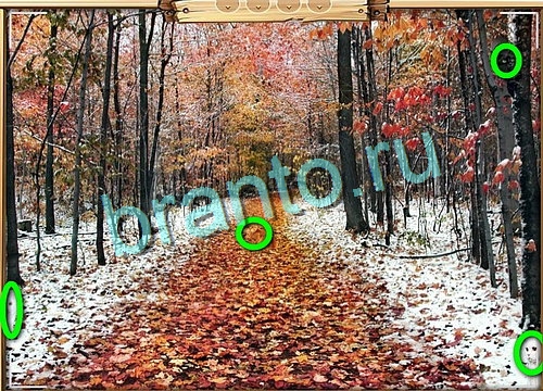 решебник на игру Усатое расследование Уровень 711