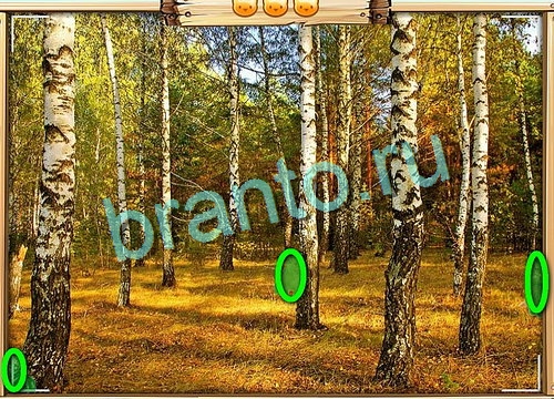 Усатое расследование игра помощь в контакте Уровень 715