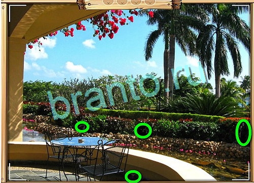 Игра Усатое расследование ответы вконтакте Уровень 717