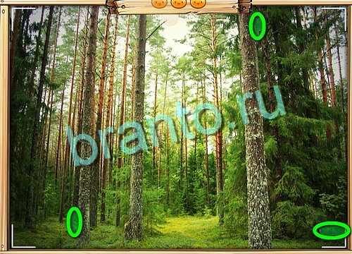 Игра Усатое расследование подсказки вконтакте Уровень 718