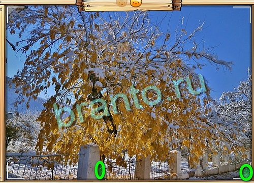 ответы на игру Усатое расследование в одноклассниках Уровень 721