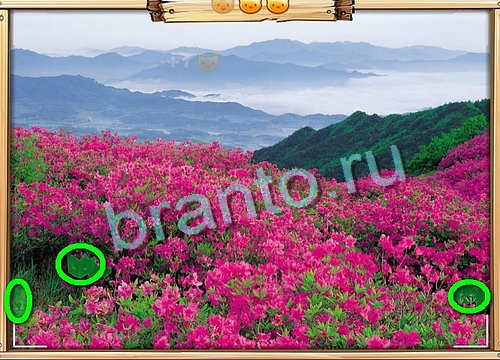 Помощь на игру ВК Усатое расследование Уровень 724