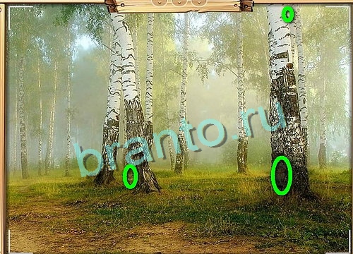 Усатое расследование подсказки в контакте Уровень 729