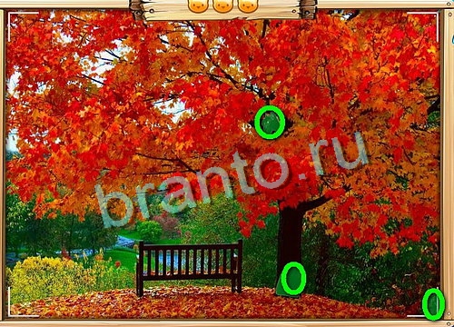 Усатое расследование игра ответы Уровень 733