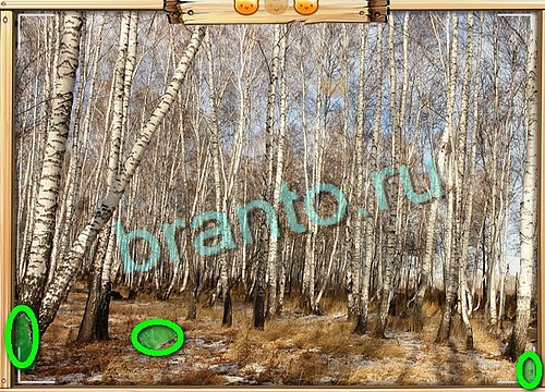 Усатое расследование игра подсказки Уровень 734