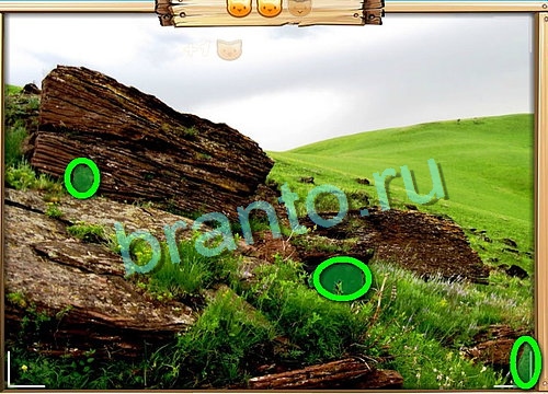 Усатое расследование игра в одноклассниках помощьУровень 735