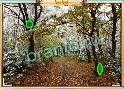 Усатое расследование ответы в картинках в контакте Уровень 736