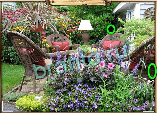 Игра Усатое расследование подсказки вк Уровень 738