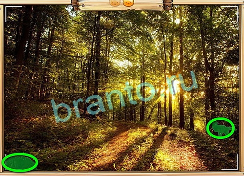 игра Усатое расследование помощь одноклассники Уровень 739