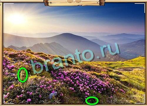 решебник на игру Усатое расследование Уровень 741