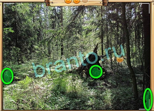 Усатое расследование игра подсказки Уровень 744