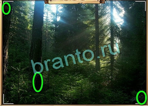 Игра Усатое расследование ответы вконтакте Уровень 747