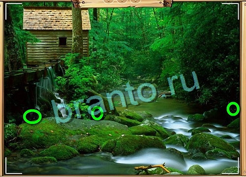 игра Усатое расследование ответ одноклассники на Уровень 750