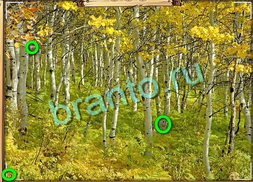 Решения на игру Усатое расследование Уровень 753