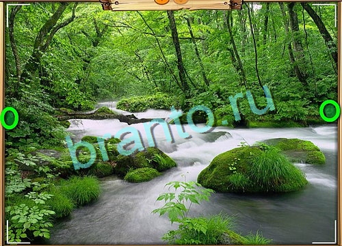 Усатое расследование игра ответы в одноклассниках Уровень 757