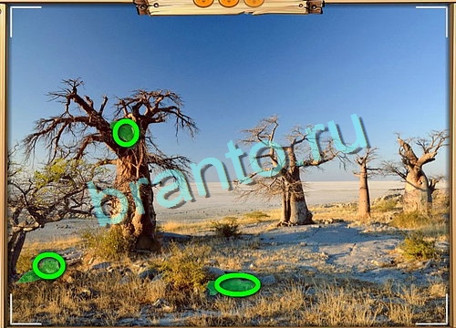 Одноклассники Усатое расследование ответы Уровень 758