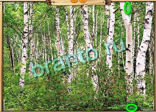 игра Усатое расследование ответ на Уровень 760