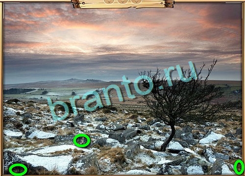 Усатое расследование решения Уровень 762