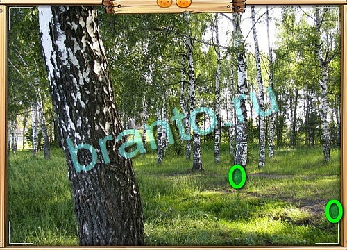 Усатое расследование игра ответы Уровень 763