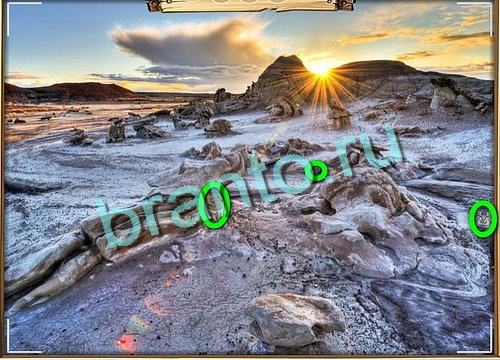 Усатое расследование игра в одноклассниках помощьУровень 765