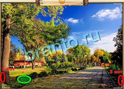 Усатое расследование ответы в картинках в контакте Уровень 766