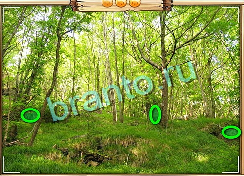 игра Усатое расследование помощь одноклассники Уровень 769