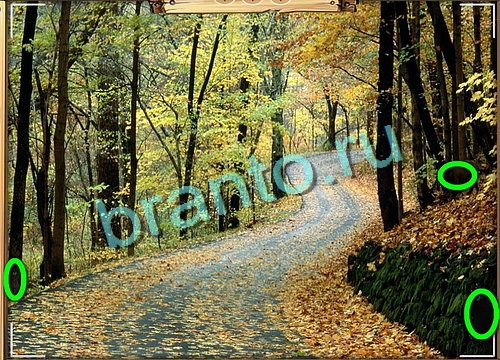 решебник на игру Усатое расследование Уровень 771