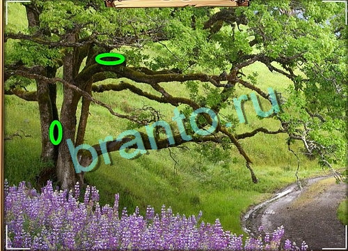 Усатое расследование игра ответы Уровень 773