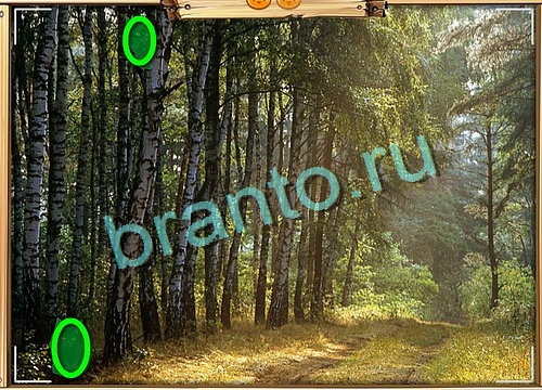 Усатое расследование ответы в картинках Уровень 776