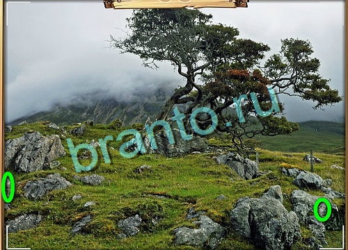 Игра Усатое расследование ответы вконтакте Уровень 777