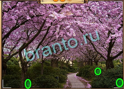 Игра Усатое расследование подсказки вконтакте Уровень 778