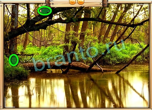 игра Усатое расследование помощь вконтакте Уровень 779