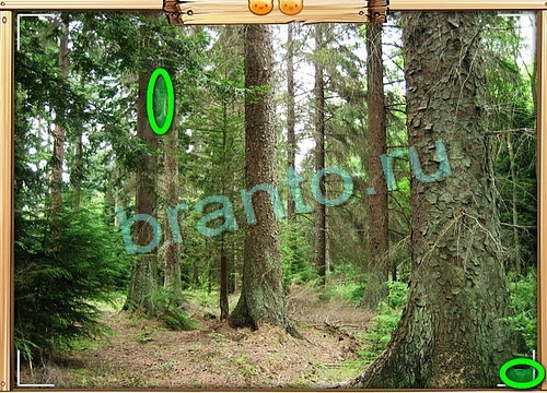 ответы на игру Усатое расследование в одноклассниках Уровень 781