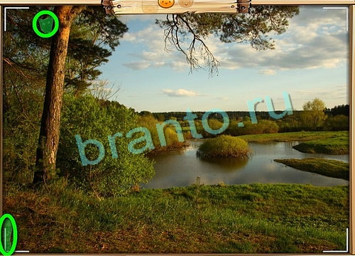 Подсказки на игру Усатое расследование Уровень 782