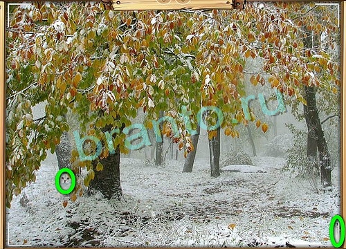 Решения на игру Усатое расследование Уровень 783