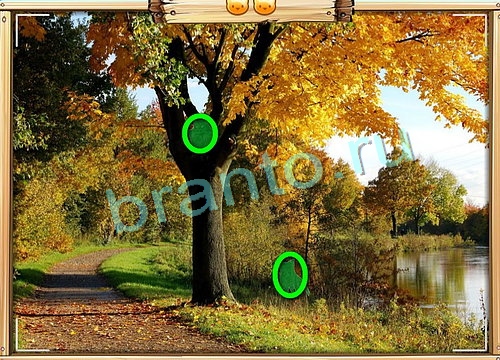 Помощь на игру ВК Усатое расследование Уровень 784