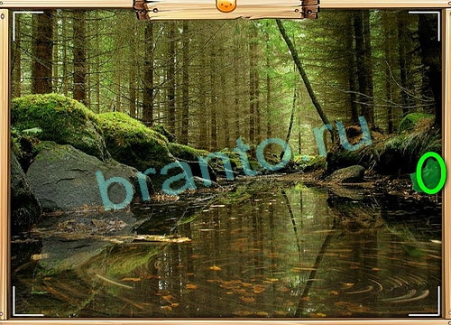 ответы к игре Усатое расследование Уровень 785