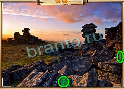 игра Усатое расследование ответ на Уровень 790