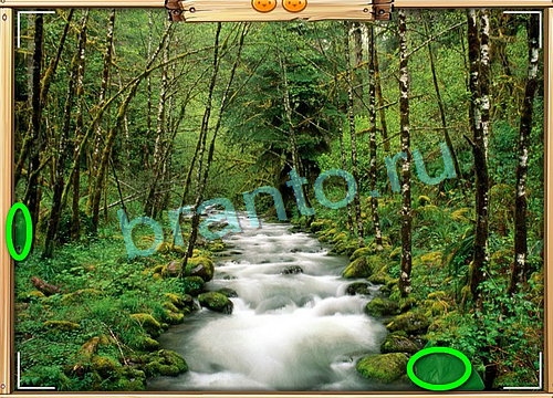 решебник на игру Усатое расследование Уровень 791