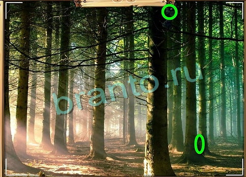 Усатое расследование решения Уровень 792