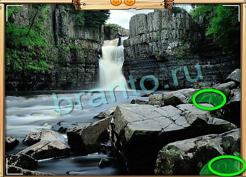 Усатое расследование игра подсказки Уровень 794