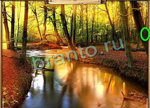 Усатое расследование игра в одноклассниках помощьУровень 795