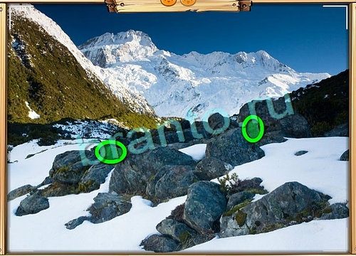 Усатое расследование ответы в картинках в контакте Уровень 796