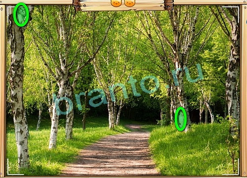 Игра Усатое расследование ответы вк Уровень 797