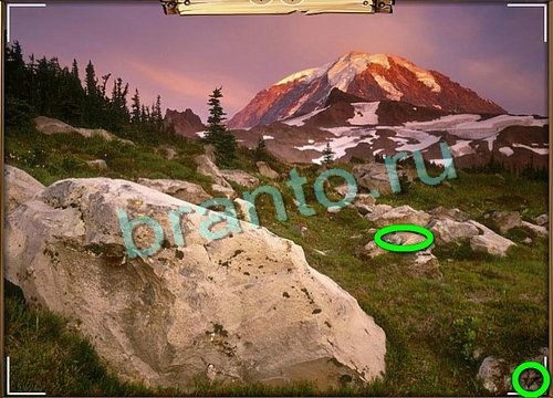 Игра Усатое расследование подсказки вк Уровень 798