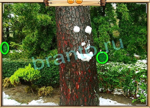 игра Усатое расследование помощь одноклассники Уровень 799