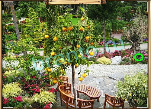 Усатое расследование игра подсказки Уровень 804