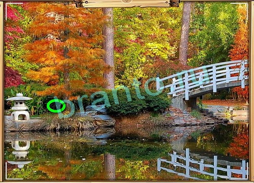 Игра Усатое расследование ответы вконтакте Уровень 807