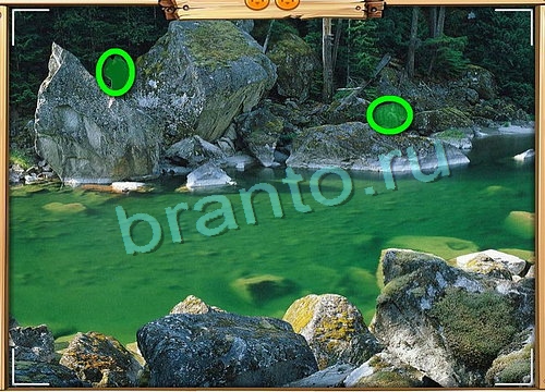 Игра Усатое расследование подсказки вконтакте Уровень 808