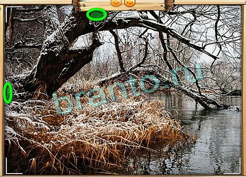 игра Усатое расследование помощь вконтакте Уровень 809